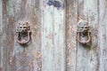 Lion head knockers on an old wooden door in Tuscany.